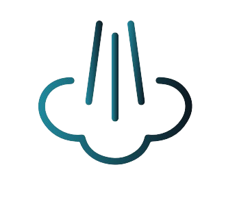 steam Icon